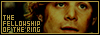 fellowship.jpg